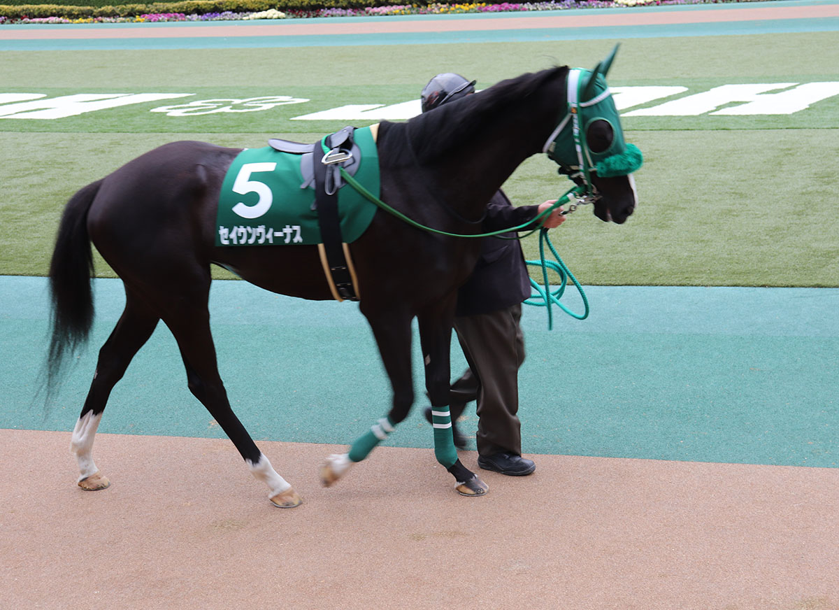 JRAフローラS(G2)はスカイグルーヴ1着固定で完全攻略!? 「激アツ現場ネタ」で究極3点勝負を決行!!の画像3