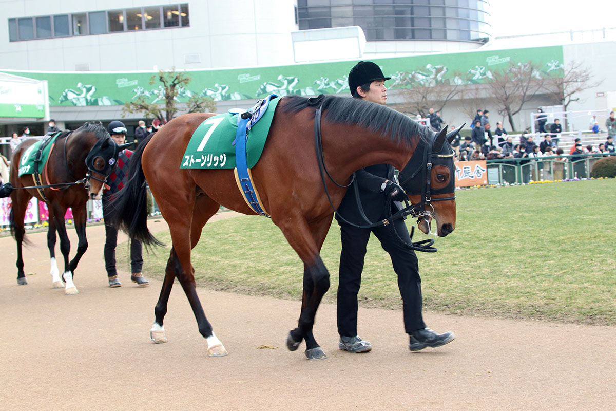 【毎日杯(G3)展望】「東上最終便」は前走・きさらぎ賞組のアルジャンナとストーンリッジが中心も、乗り替わりがポイントにの画像2
