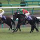 JRA 2歳新馬戦、「良血馬」が続々勝ち上がり! ケガに泣いたアノ馬の妹、シルバーコレクターの弟に大注目!