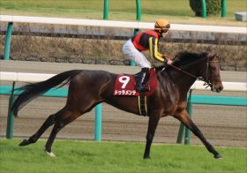 ドゥラメンテ産駒がデビュー戦圧勝！　モーリス、リオンディーズらとの「新種牡馬争い」を一歩リード!?