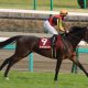 いよいよデビュー!2020年の新種牡馬を紹介。本命はドゥラメンテ・モーリス、穴はエイシンヒカリ・マクフィ・リオンディーズか