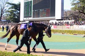 かしわ記念（G1）新星アルクトスに復活気配!? 田辺裕信騎手「負けたことを悲観することはない」前走の惨敗を糧に好走を誓う