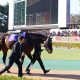 JRA田辺裕信「うっかり発言」で周囲ざわめく!? 南部杯(G1)アルクトス超絶レコードで「有終の美」!?