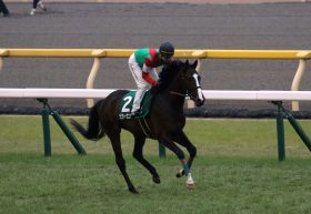 JRA 「もっと大胆に乗っていいのかもしれない」日本ダービー（G1）初参戦の「覚醒」津村明秀が伏兵ビターエンダーと頂点獲りへ