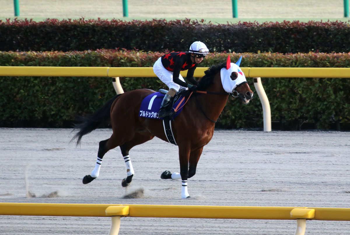 JRA武豊マテラスカイ、G1馬モズスーパーフレアは不要! JBCスプリント(G1)「激荒れ」の予感漂う大井の電撃6ハロン戦は「穴馬」の宝庫かの画像2