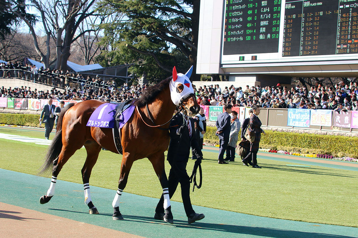 JRA藤田菜七子×コパノキッキング悲願の交流G1初制覇なるか!? 武豊×マテラスカイ、芝スプリントG1覇者モズスーパーフレアも巻き返しに虎視眈々！【JBCスプリント（G1）展望】の画像2