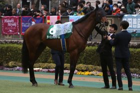 JRA・M.デムーロの隠れたファインプレー!? 日本ダービー（G1）ダーリントンホールの皐月賞惨敗の影にあった「馬優先主義」とは