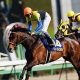 JRA【皐月賞(G1)枠順確定】コントレイル、サリオス、サトノフラッグらの気になる枠は?