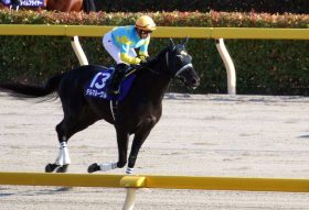 今週の勝負レースはJRA東海S（G2）「軽視は厳禁」の穴馬が？ 復調ムードの重賞ホースへ熱視線!!