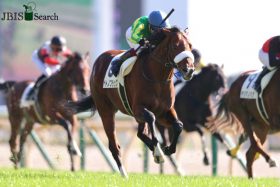 JRAコントレイル不在が「空き巣」のねらい目!? サトノフラッグが“不人気”G1でタイトル獲得に虎視眈々か