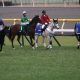JRA今「C.ルメール切り」が熱い!? 先週も単勝20倍の推奨馬が快勝で万馬券! 今週の高額万馬券狙いレースはコレだ!