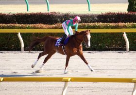 JRA NHKマイルC（G1）も「2着狙いの法則」で楽勝!? 天皇賞・春「大穴」スティッフェリオも該当、そして現在「100％継続中」の傾向とは