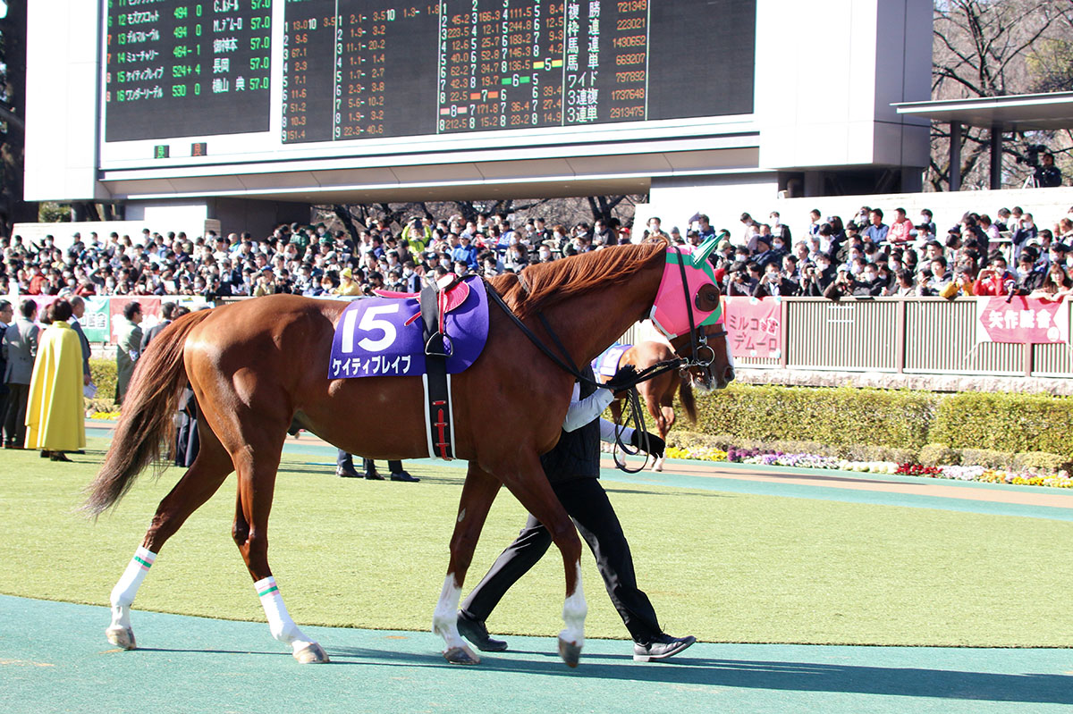 【かしわ記念(G1)展望】デムーロ「今まで乗ったダート馬のなかで一番強い」ルヴァンルレーヴVSモズアスコット! 新旧王者の対決に注目の画像4