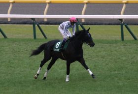 JRA日本ダービー（G1）「新コンビ」マイラプソディ×横山典弘で参戦！ 武豊に“捨てられた”からこそチャンスな理由