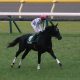 JRA・M.デムーロの隠れたファインプレー!? 日本ダービー(G1)ダーリントンホールの皐月賞惨敗の影にあった「馬優先主義」とは