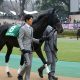 JRA「福永祐一祭り」はもう始まっていた!? 今年重賞未勝利でも稼ぎ時は多数、狙って“おいしい条件”はこれだ