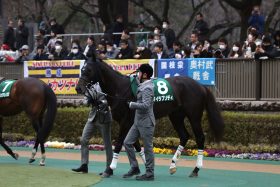 JRA皐月賞（G1）武豊マイラプソディ共同通信杯組は「最多勝」も巻き返しが「絶望的」な理由……