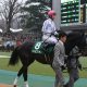 JRAコントレイルに並ぶ「激アツ軸馬」発見! 神戸新聞杯(G2)ラスト1冠の権利獲得に燃える「穴馬」がヒモ荒れを演出か!? 「マル秘情報」で3連単「3点」勝負!