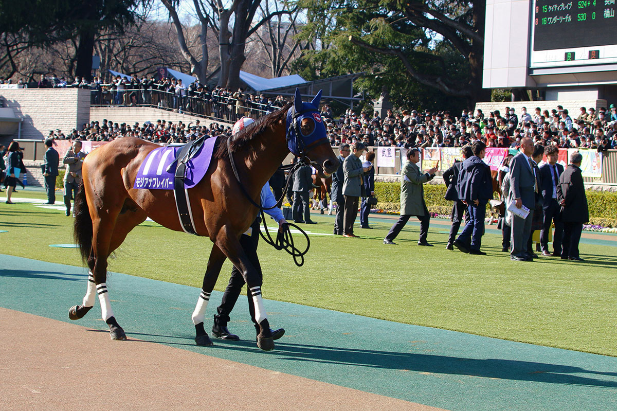JRA勢オメガパフューム、ルヴァンスレーヴら強豪撃破を狙う!? 帝王賞（G1）ノンコノユメ＆モジアナフレイバーらが見せる南関所属馬の「意地」の画像2