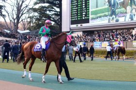 JRA“荒治療”で「完全復活」ケイティブレイブ！ 帝王賞（G1）は名コンビの「恩返し」に最適な舞台！