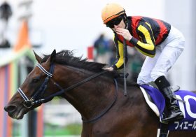 JRA天皇賞・春（G1）フィエールマン「丸裸」同然!? 「21万馬券」高松宮記念が“簡単”に獲れた裏舞台