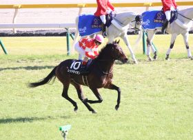 JRA「最後の親孝行」は、最有力コントラチェックにあらず!? 中山記念（G2）藤沢和雄調教師へ捧げる、弟子からの恩返し