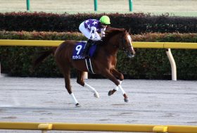 JRAフェブラリーS（G1）サンライズノヴァ前走「大敗」も計算のうち!? 「1年前」謎の前哨戦がズバリ！ 音無采配に緻密な計算ありか