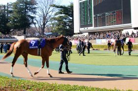 かしわ記念（G1）JRA武豊×サンライズノヴァ「VSルヴァンスレーヴ」2年ぶりリベンジへ絶好！ フェブラリーS・3着も敗因くっきり