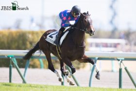 JRA最優秀障害馬シングンマイケル死去。オジュウチョウサン好敵手、“恩師”高市圭二調教師の他界後わずか2カ月で逝く