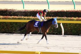 JRA武豊が“あぶり出した”課題克服で期待度「◎」!?　ルメールから“チェンジ”など好走条件そろったタイムフライヤー！