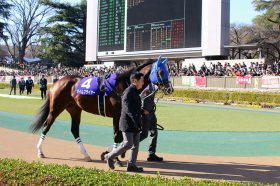 JRA根岸S（G3）「メンバー唯一」条件クリアは実力に折り紙付きのG1馬！ 前走敗因は前が壁でハッキリ、激走サインは見逃し厳禁