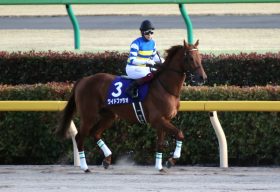 JRAかしわ記念（G1）ワイドファラオ勝利の“立役者”は福永祐一以外にも!?  2月の「苦い」思い出とは……