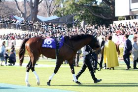 JRA横山典弘の「お株」を奪う“ポツン”最後方!? フェブラリーS（G1）ブリンカーだけではなかった陣営がワンダーリーデルに施した工夫とは