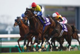 JRA安田記念（G1）まさかの「勝率2.9％」!?　ディープインパクト産駒はなぜ安田記念で結果が出ないのか