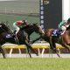 JRAヴィクトリアマイル(G1)ダノンファンタジー「作戦変更」に暗雲!? 前走大幅増から減らない馬体重、「ソフト仕上げ」は果たして正解なのか?
