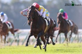 JRA「ダービーの重み」を経験してから11年……。 北村友一「2回目」の日本ダービー（G1）は「末脚堅実」マンオブスピリットでリベンジへ