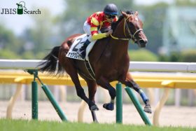 元JRAジョッキー安藤勝己氏「有馬記念（G1）は適性が問われる……」横山典弘騎乗オセアグレイト「激走」に期待!? デスペラードで見た「夢の続き」