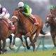 JRA「ダート王」候補がまさかの回避!? フェブラリーS(G1)にもつながる登竜門「1強」不在で混戦模様も、アノ騎手には嬉しい誤算か