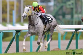 JRAアーモンドアイを脅かす「超高速馬場の申し子」が急浮上!? ヴィクトリアマイル「穴男」田辺裕信と「第2のラウダシオン」で今年も大波乱？