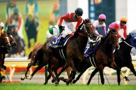 JRAオークス（G1）デアリングタクト「牝馬三冠」の可能性に迫る。無敗の女王はアーモンドアイを超えられるか？