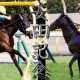 JRA安田記念(G1)アーモンドアイに「黄色信号」!? 無敗の2冠馬誕生は波乱のサインか。過去には馬連「6万馬券」も……