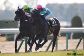 JRA武豊絶賛「高いスプリント能力」誇るダイアトニックが断然主役も、不安は重賞で大不振の鞍上!?【キーンランドC（G3）展望】