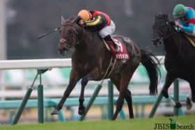 いよいよデビュー！2020年の新種牡馬を紹介。本命はドゥラメンテ・モーリス、穴はエイシンヒカリ・マクフィ・リオンディーズか