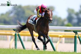 JRAスピード競馬こそ主流「マイラー大好き」引退間近の名伯楽が見せた真骨頂!? 安田記念（G1）アーモンドアイ撃破グランアレグリアは厩舎の集大成となるか