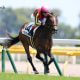 JRA「鞍上問題」勃発か!? グランアレグリアのスプリンターズS（G1）直行でアノ騎手の騎乗馬が注目の的に