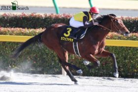 JRA【フェブラリーS（G1）展望】最有力カフェファラオ、レッドルゼルらに「不安情報」あり……1番人気7年連続3着以内も今年は大混戦か