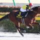 JRA グラスワンダー主戦騎手「溺愛」で今年0勝の息子ジョッキーと共倒れ状態……往年のライバル横山典弘から「痛恨不利」も“同情の声”が集まらないワケ