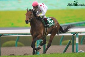 JRA新種牡馬ミッキーアイル産駒ら良血馬が続々デビュー！ 記憶に残る新馬戦Vを果たすのは、あの産駒!?