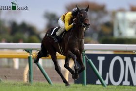 JRAエプソムC（G3）早くもG1への「試金石」!? 東京巧者・ピースワンパラディ“魅力”の末脚武器に津村明秀へ「初めて」をプレゼントなるか