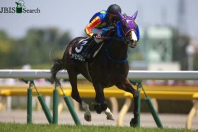 あわやJRA新記録「単勝606.8倍」の激走で騒然!? 鳴尾記念（G3）10歳馬サイモンラムセス、引退レースで見せた輝きに「絶賛の声」続々